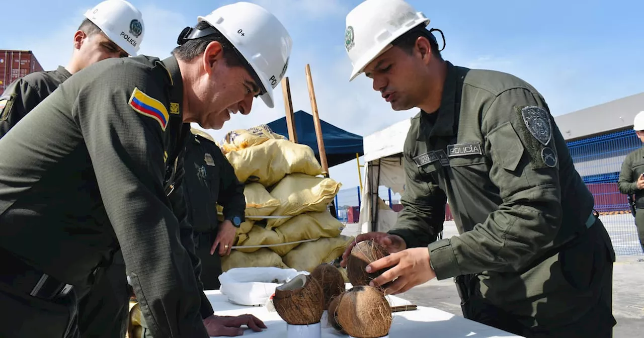 Video: descubren la nueva modalidad usada por narcotraficantes en Cartagena