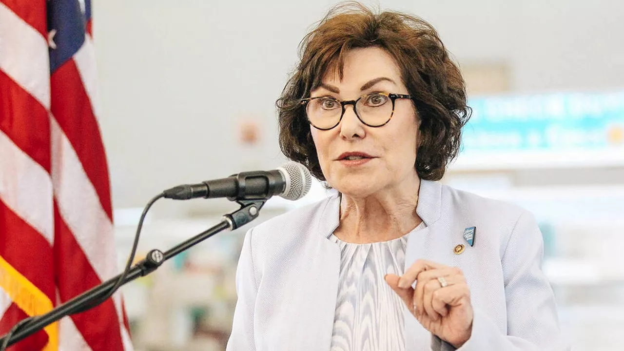 Jacky Rosen swiftly scores Nevada Democratic Senate nod ahead of 'toss up' election