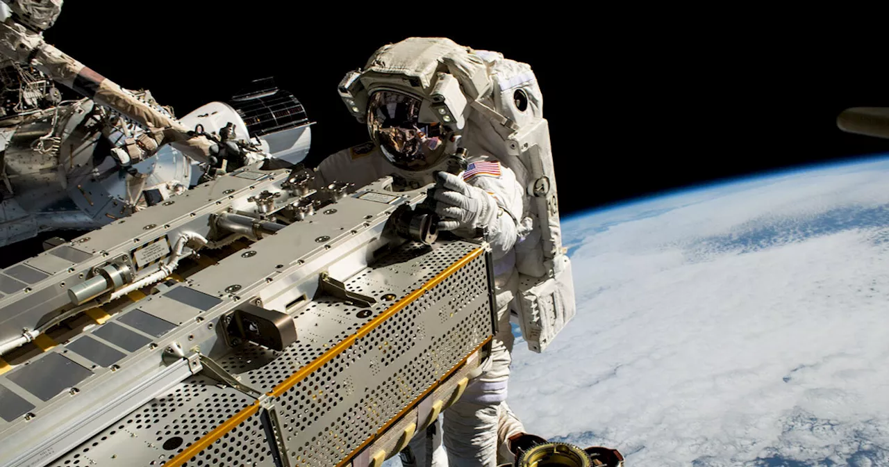 NASA Astronauts Checking Exterior of Space Station for Living Organisms