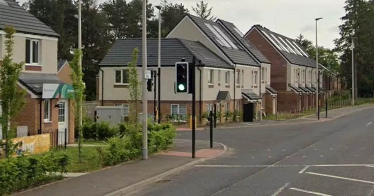 Dog hit by car after Lanarkshire driver ran red light at pedestrian crossing