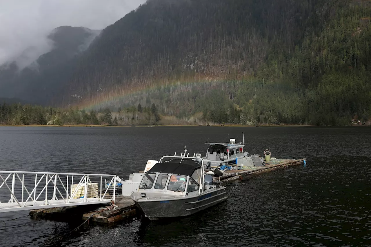 B.C. wildfire risk expected to spike this summer after mild spring mitigates blazes