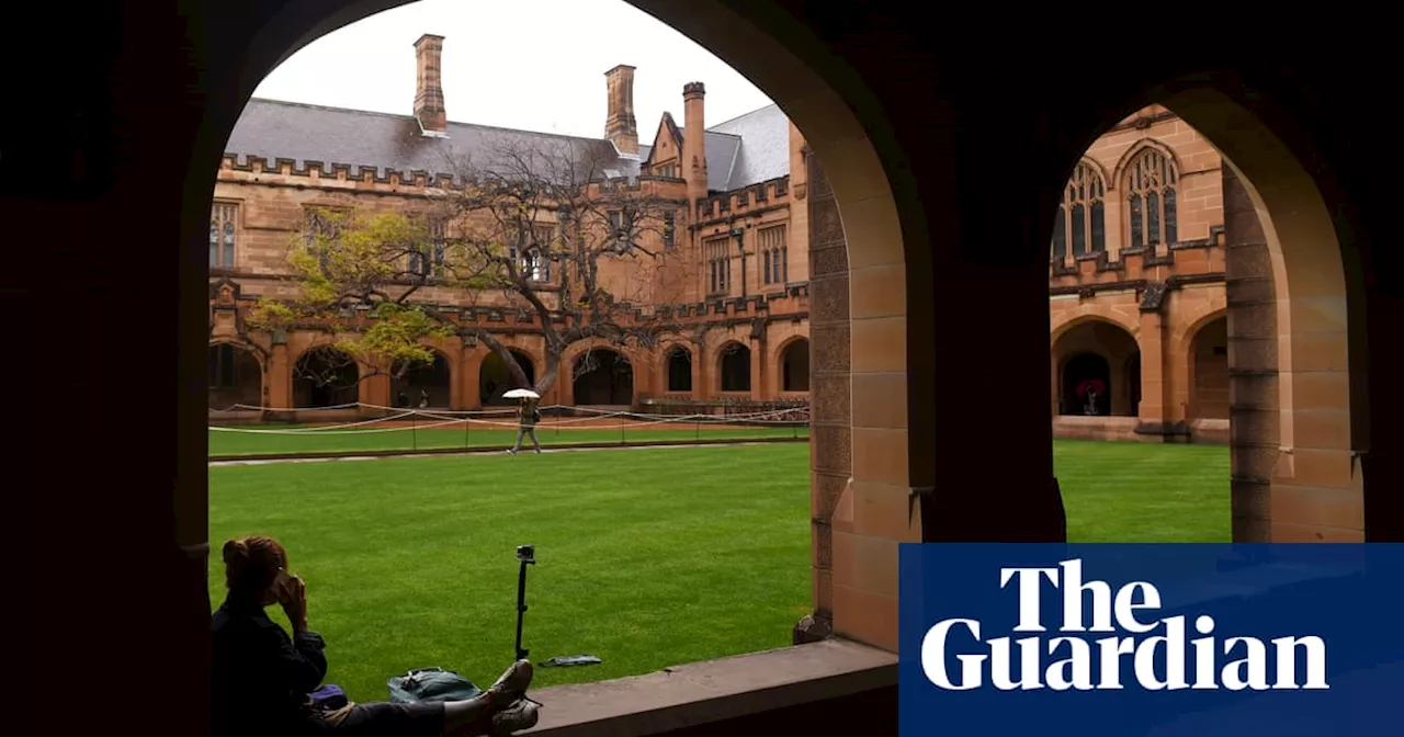 New South Wales universities receive 40% of student fees from just three overseas countries