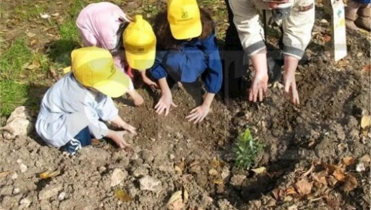 Cambiamenti climatici, il 95% dei bimbi italiani soffre di eco-ansia