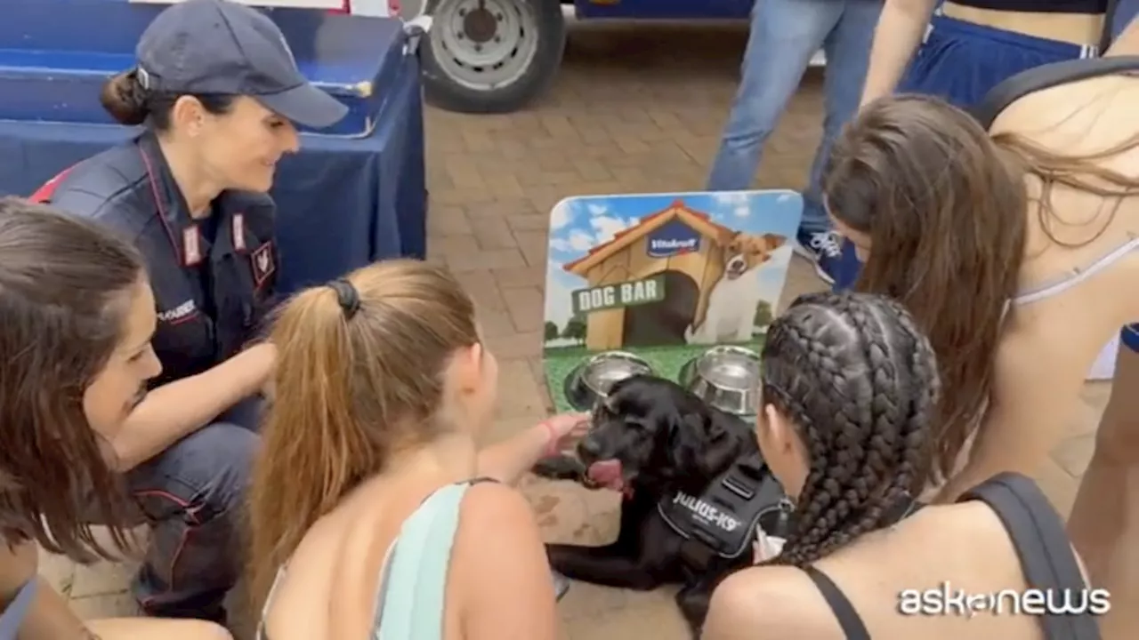 Si chiude il Pet Camper Tour, contro l'abbandono degli animali