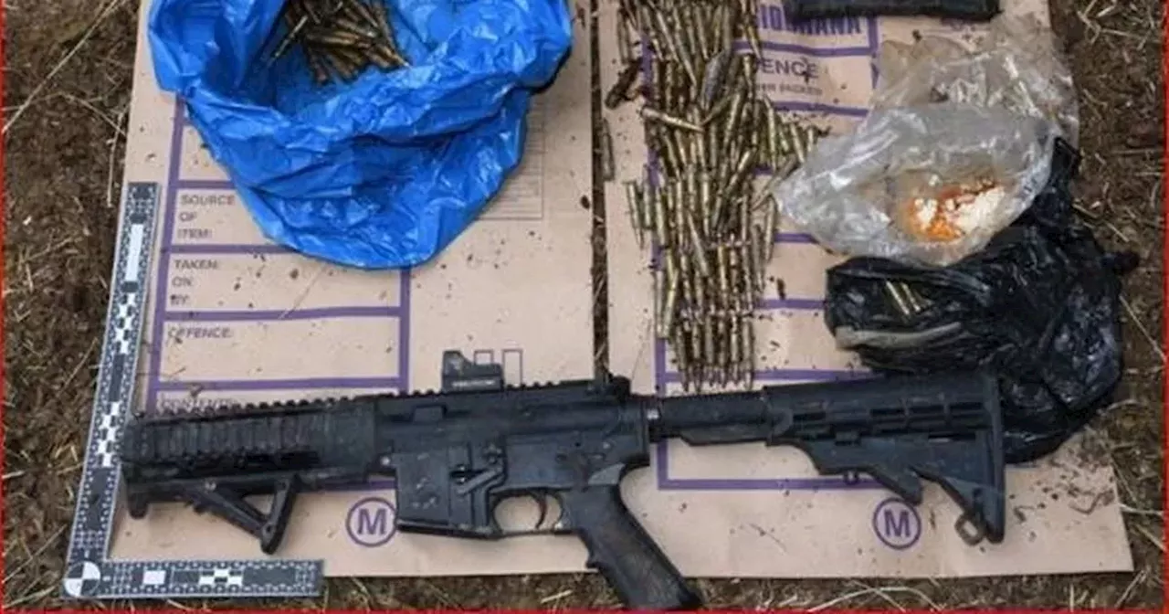 Gardai find gun hidden in bushes during routine patrols in Finglas