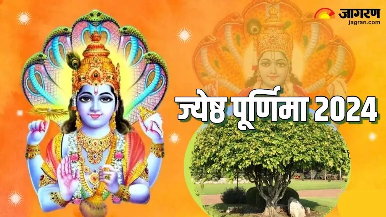 Jyeshtha Purnima 2024: ज्येष्ठ पूर्णिमा पर जरूर करें इन पेड़ों की पूजा, तरक्की के बनेंगे योग