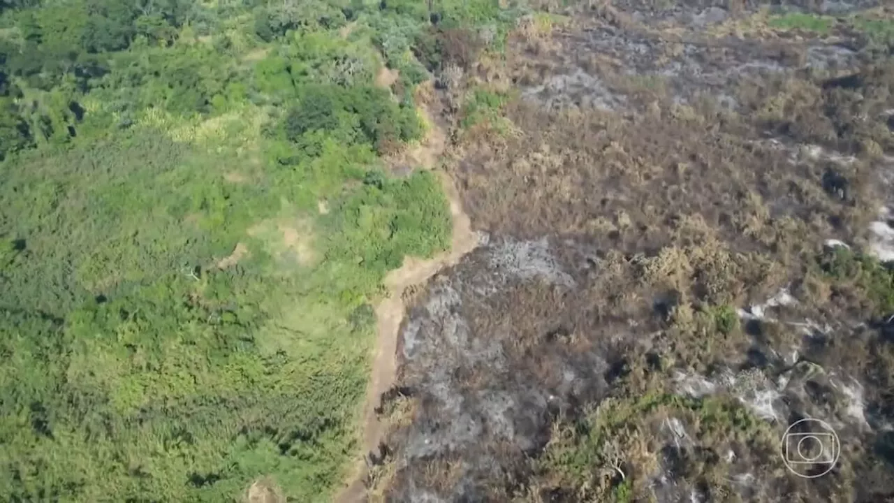 Pantanal registra o segundo maior número de focos de incêndio em 15 anos