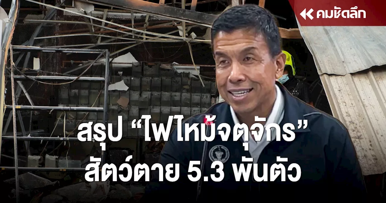 สรุป 'ไฟไหม้จตุจักร' สัตว์เลี้ยงตาย 5.3 พันตัว 'ชัชชาติ' สั่งปิดตลาดศรีสมรัตน์