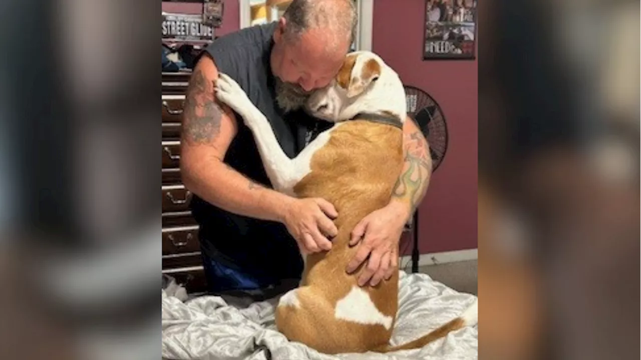 'It was devastating': Family wants answers after dog found shot in pond