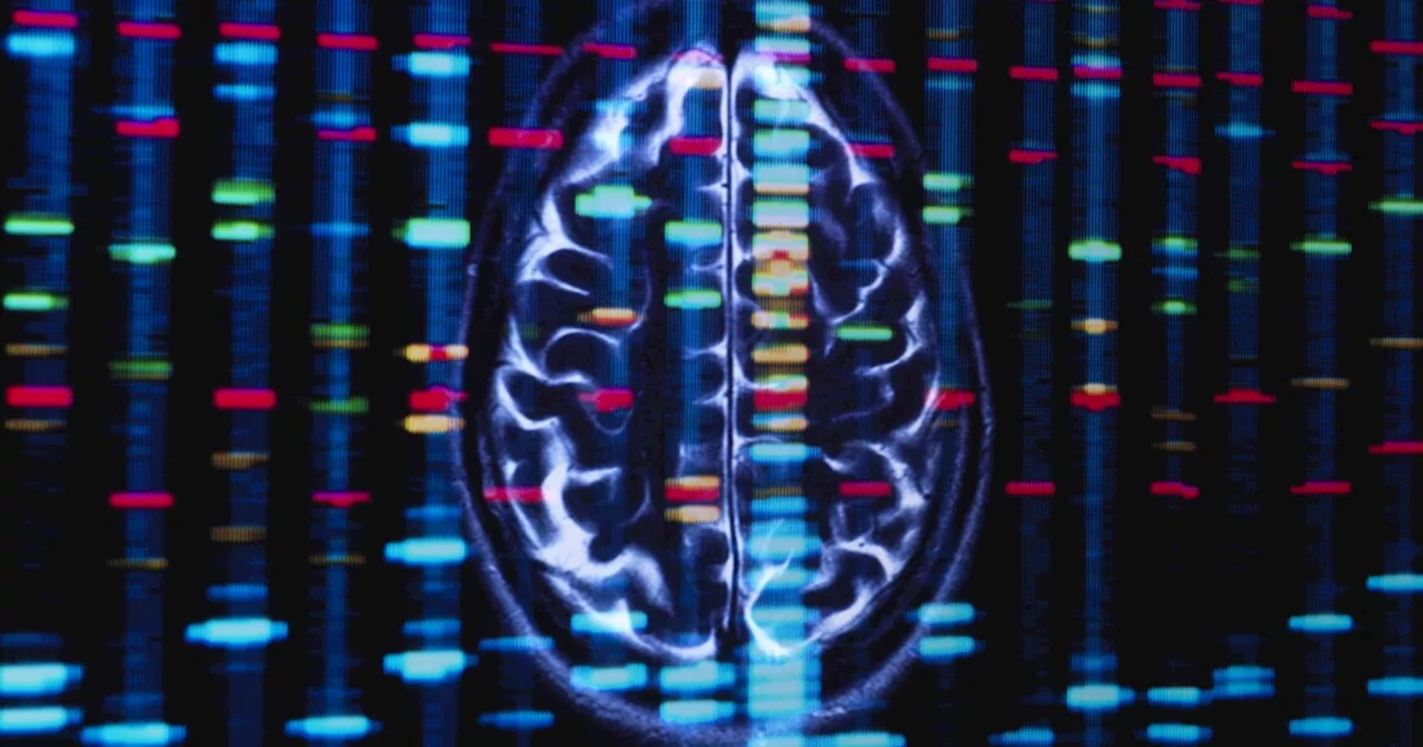 African ancestry genes may be linked to Black Americans' risk for some brain disorders