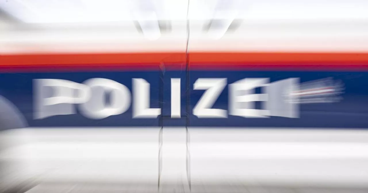 Amtsbekannte Jugendliche aus OÖ schlugen in Wiener Neustadt zu