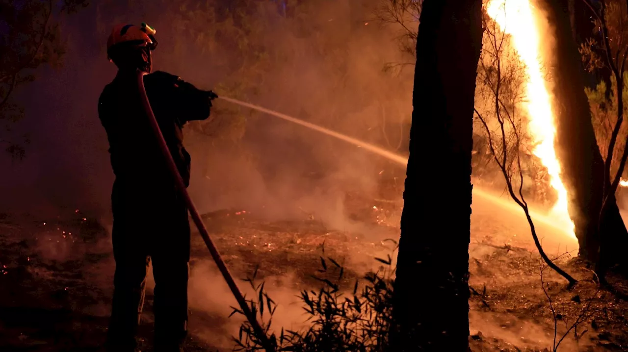 Incendie dans le massif varois des Maures : le feu est 'fixé' après avoir parcouru 600 hectares