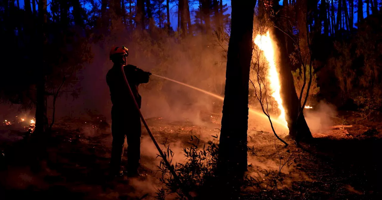 Incendie de forêt dans le Var : le feu se «calme» après avoir brûlé 600 hectares