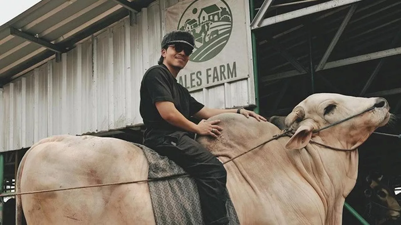 7 Potret Usaha Peternakan Sapi Milik Atta Halilintar, Ramai Jelang Idul Adha