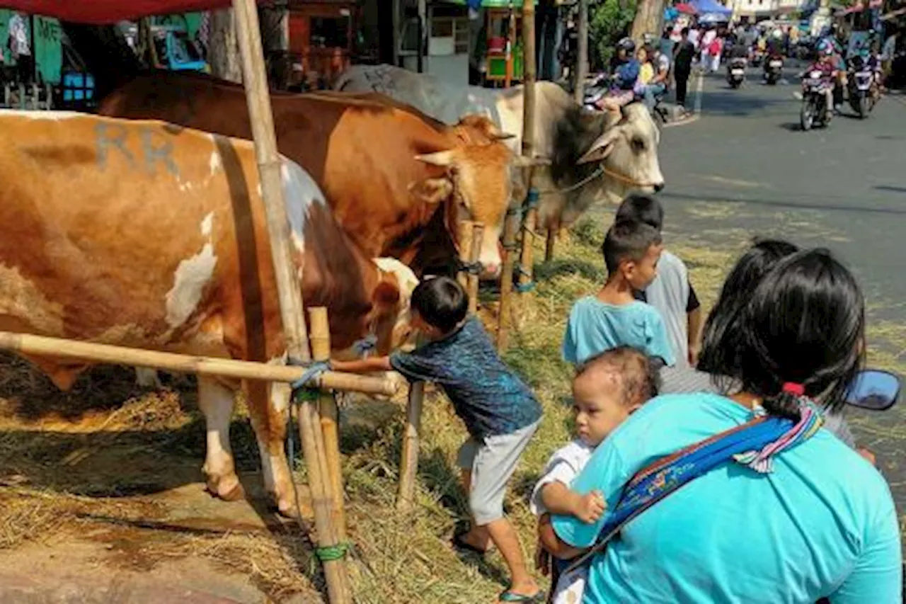 DLH DKI Imbau Penyelenggaraan Kurban Secara Ramah Lingkungan