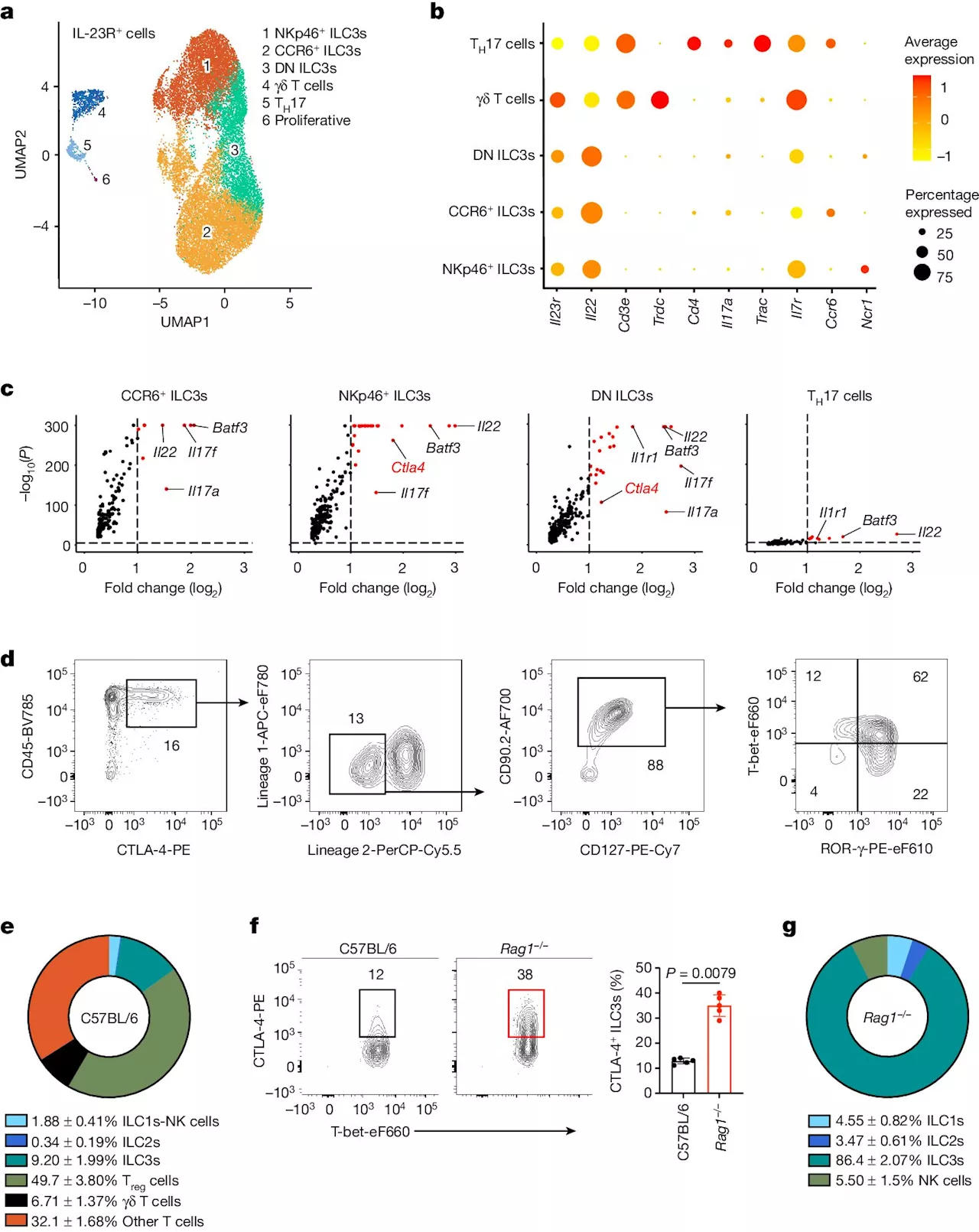 Putting the brakes on chronic inflammation: Study discovers link between two key pathways