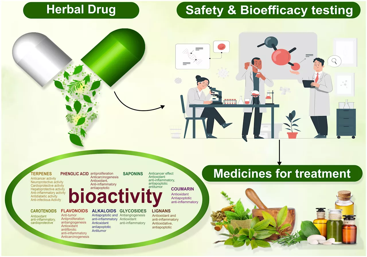 Researchers explore the safety, efficacy and bioactivity of herbal medicines