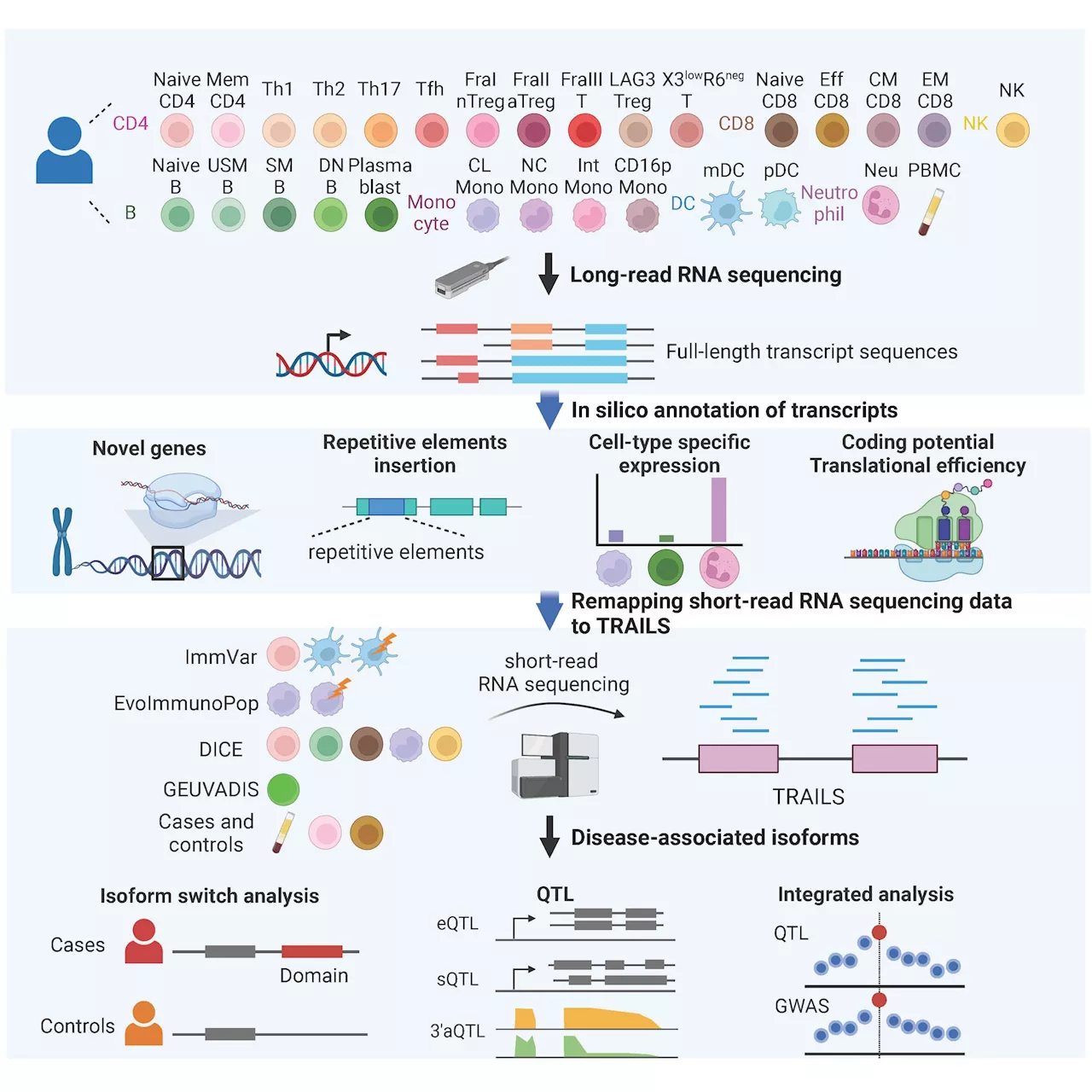 Study uncovers new insights into alternative splicing and disease associations