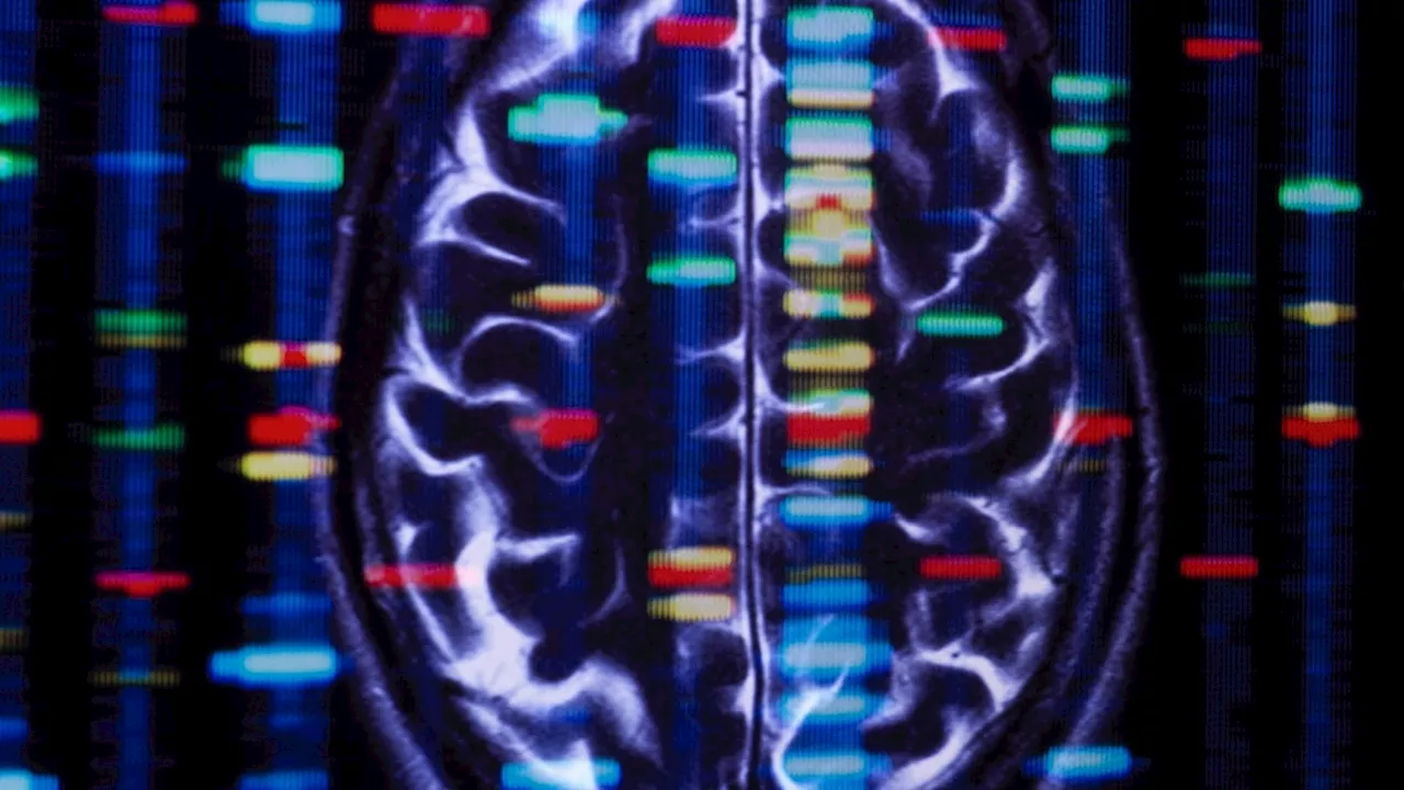 Can trauma be inherited through genes?