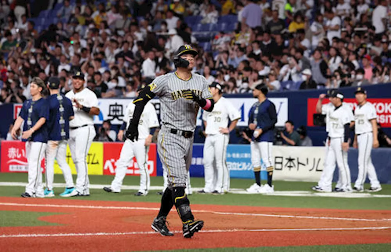 【虎になれ】完敗でも順位は不動の岡田阪神 この幸運を生かさなければ