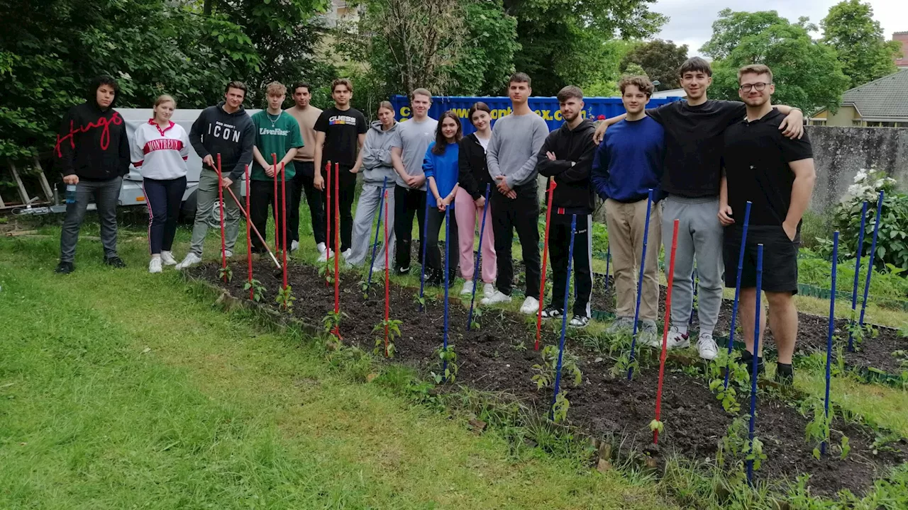 Österreichisches Umweltzeichen für VBS HAK/HAS Mödling