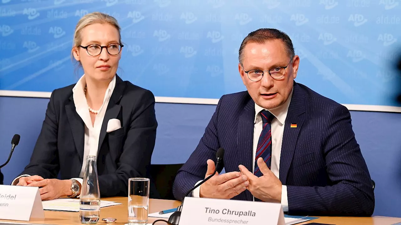AfD will nur noch einen Parteichef - Chrupalla oder Weidel müssten dann aufhören