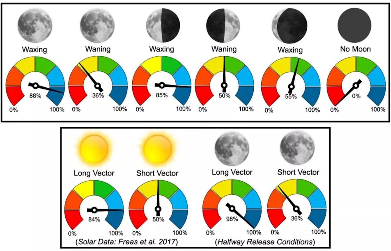 Ants detect and monitor low levels of moonlight to navigate at night, new study shows