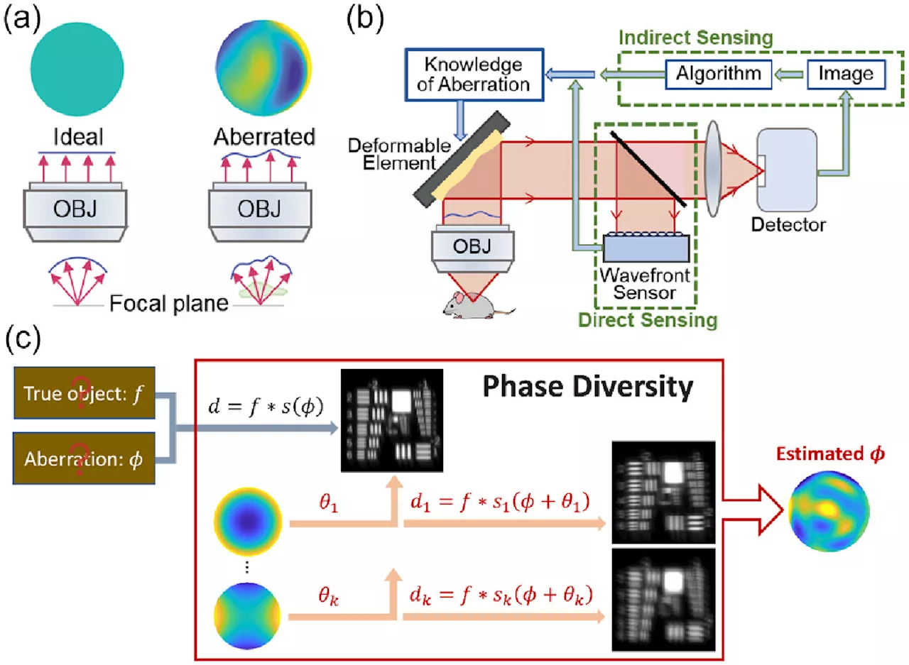 Scientists adapt astronomy method to unblur microscopy images