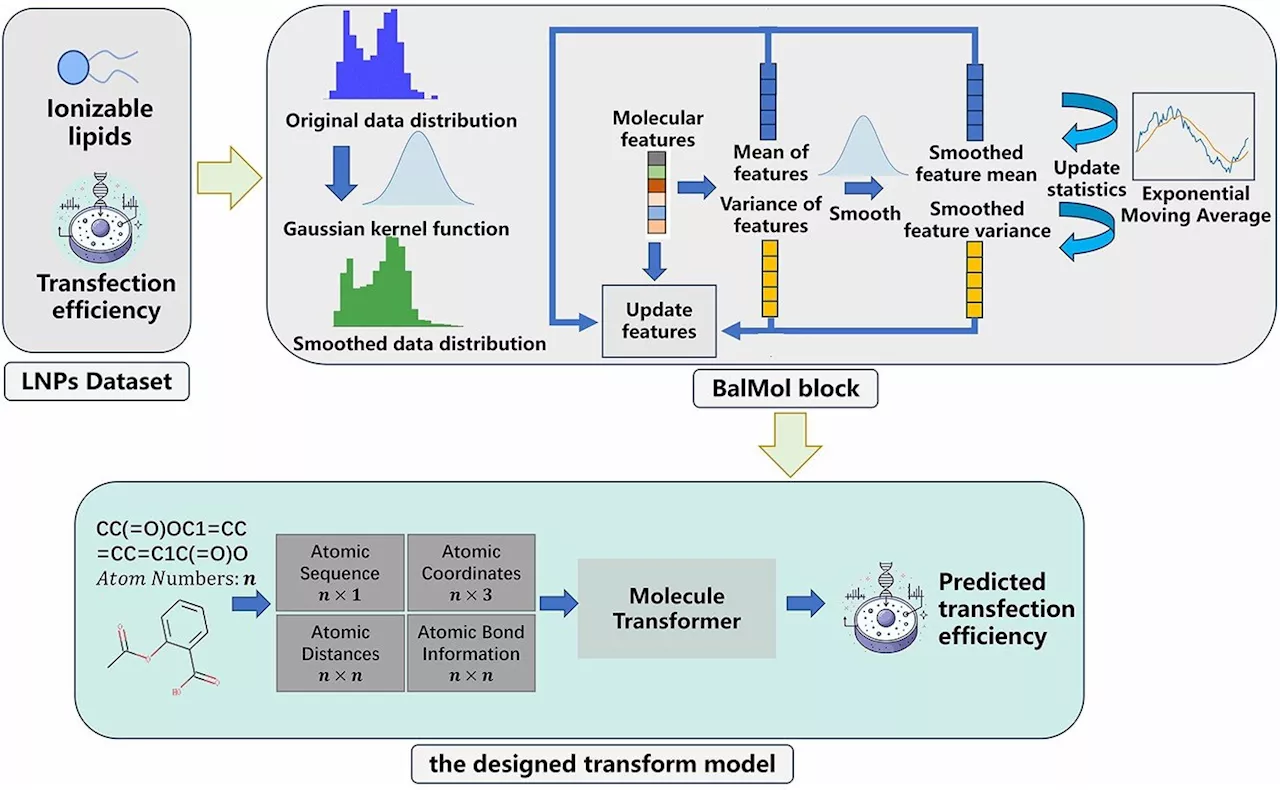 Scientists propose novel AI approach for lipid nanoparticles screening in mRNA delivery