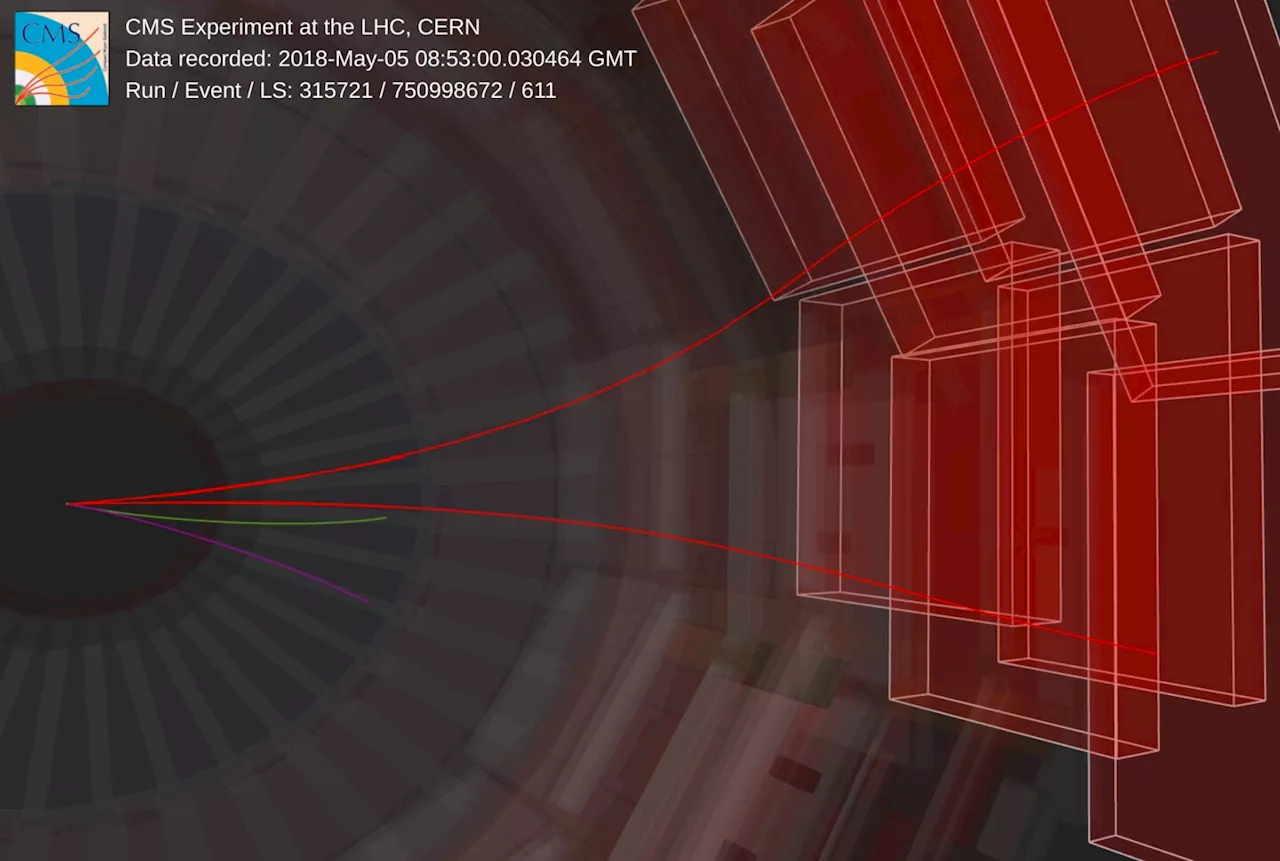 Shaking the box for new physics: CMS collaboration reports findings on rare B⁰ meson decay