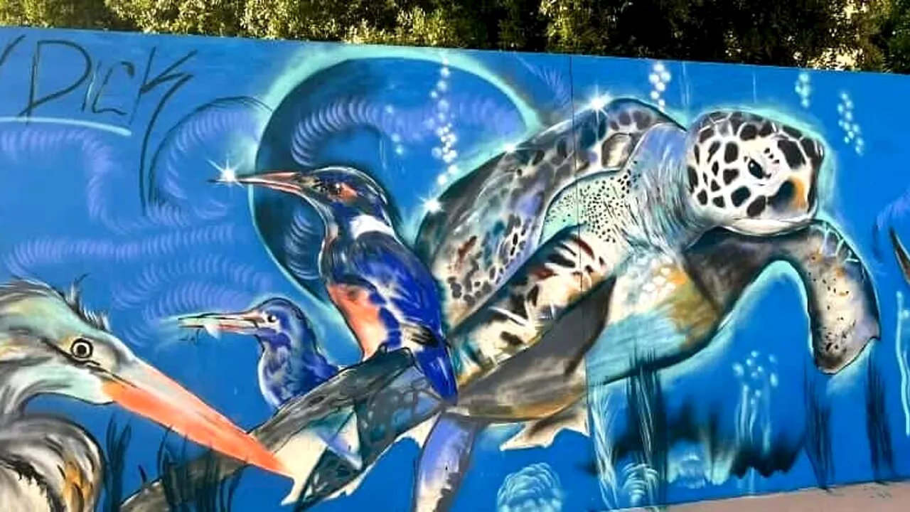 Non solo Ostia: anche ad Acilia arriva un murales dedicato alle tartarughe marine