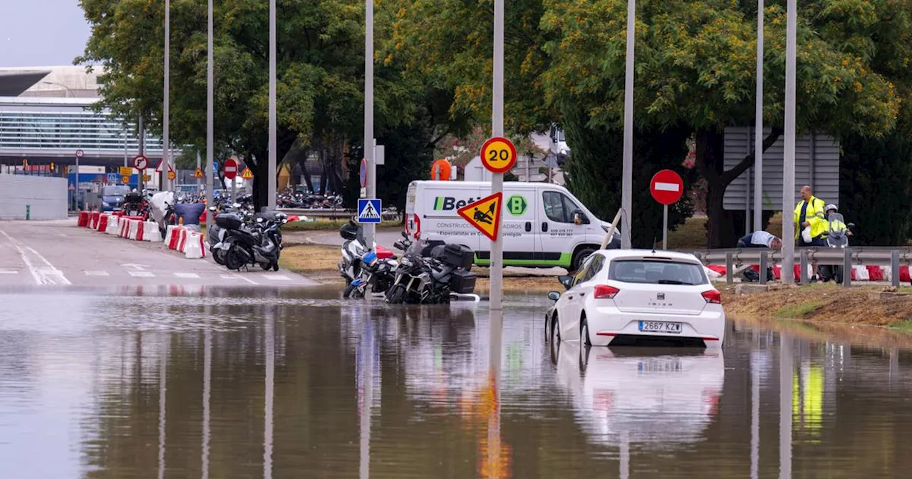 Mallorca: Flughafen kehrt nach Unwetter zur Normalität zurück