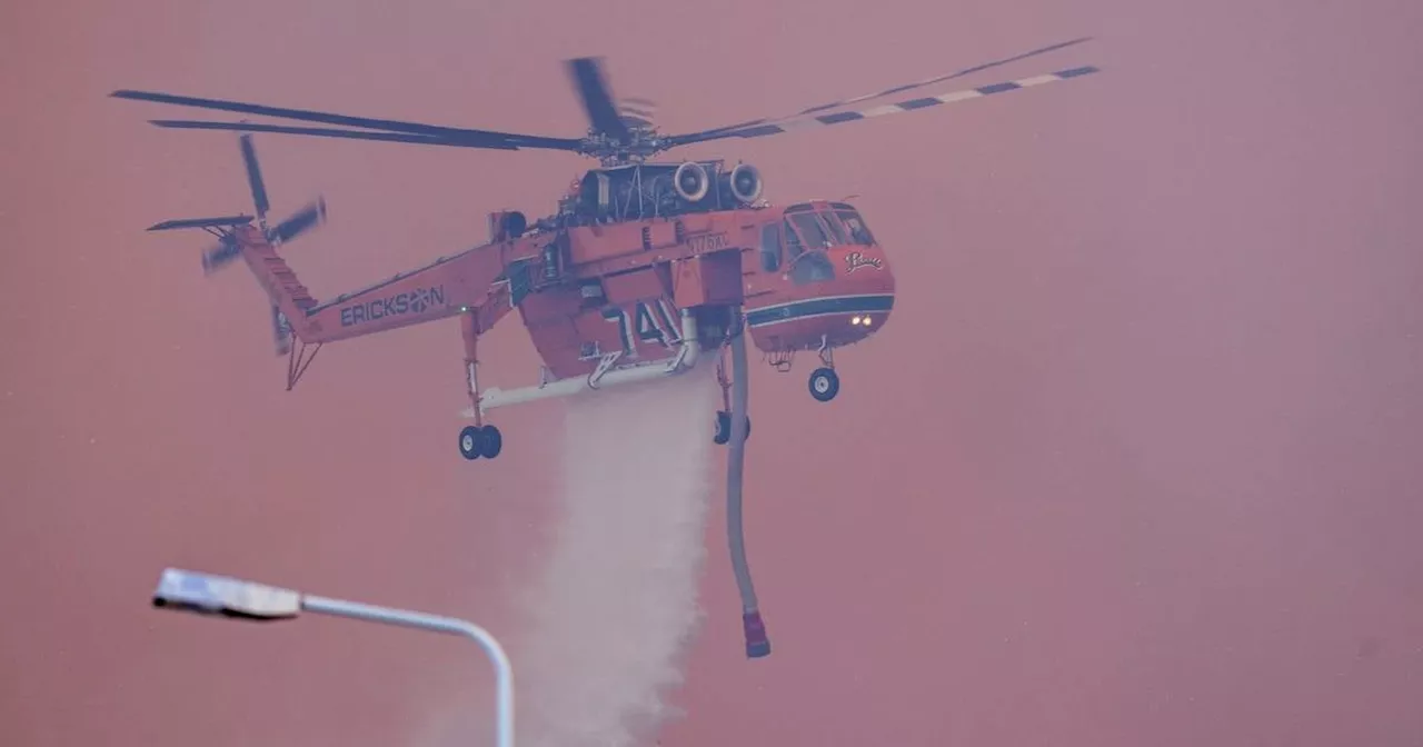 Zypern: Erster großer Wald- und Buschbrand des Jahres