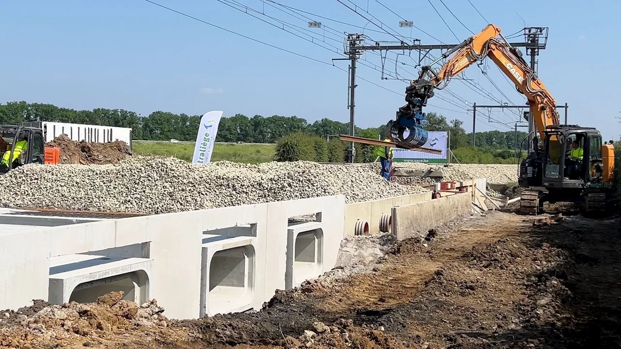 Circulation ferroviaire interrompue entre Visé et Maastricht : voici quand les travaux d'Infrabel seront terminés