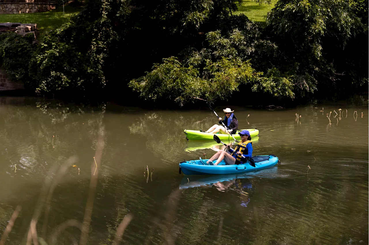 Several Central Texas freshwater mussels now protected under Endangered Species Act