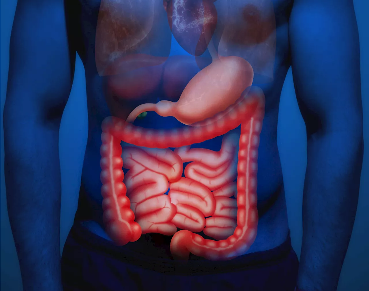 A New Biological Pathway: Major Cause of Inflammatory Bowel Disease Discovered