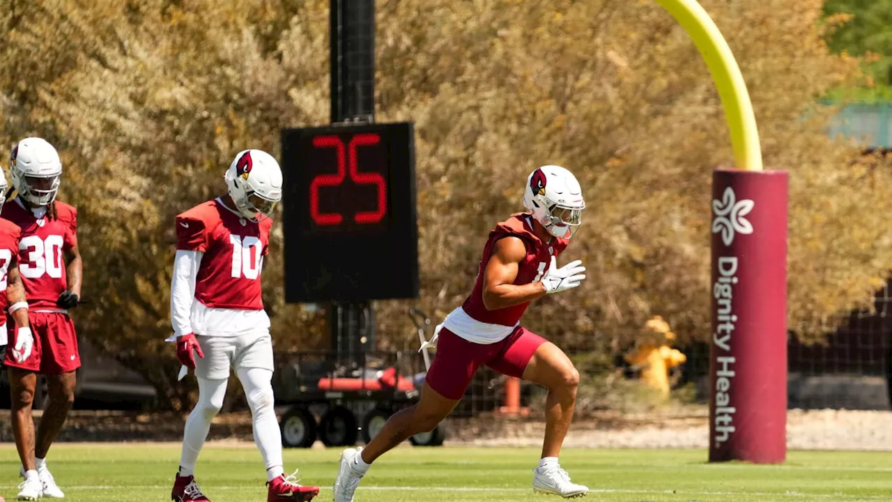 Arizona Cardinals WR Projected to Break Out