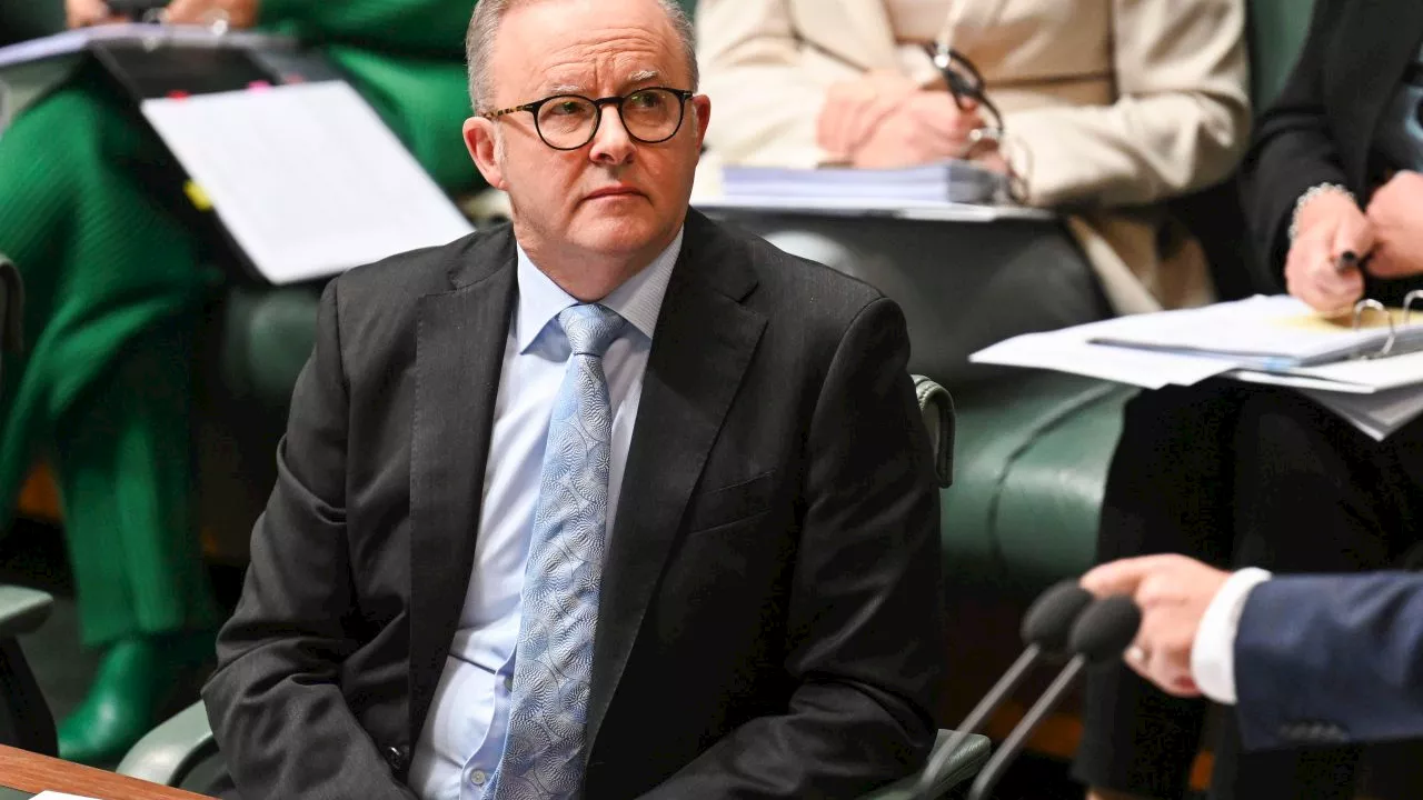 Albo skewered on ‘all hat and no cattle’ education promise as outraged Aussies pile on