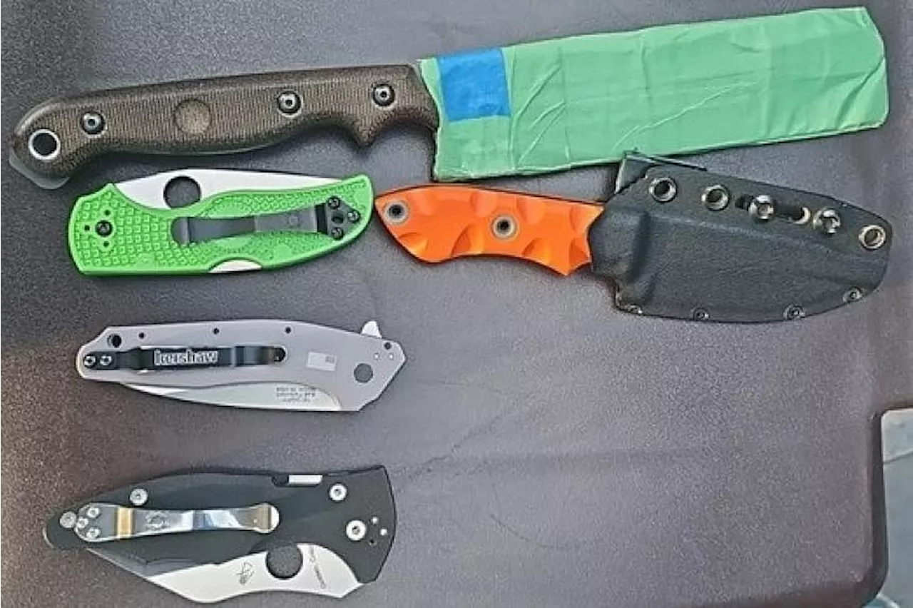 Man, 62, arrested after allegedly brandishing knife on bus in S'pore