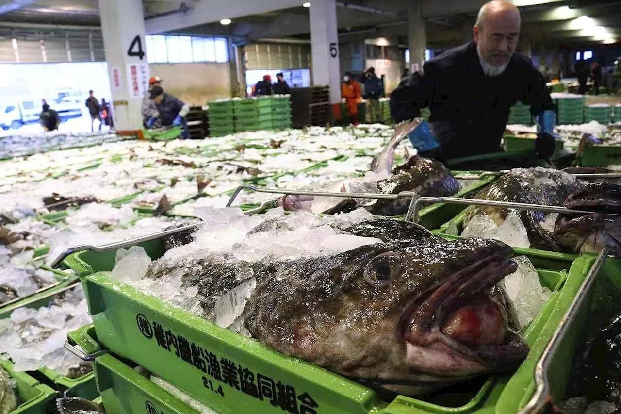 Seafood consumption in Japan falls to all-time low, as people eat more meat