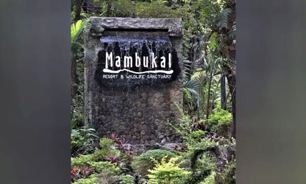 Mambukal collection and cash advances under probe