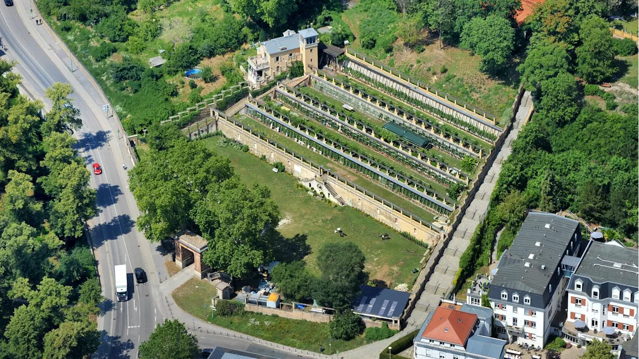 Der musikalische Winzerberg in Potsdam: Erste Bacchusstunde der Saison mit Konzert