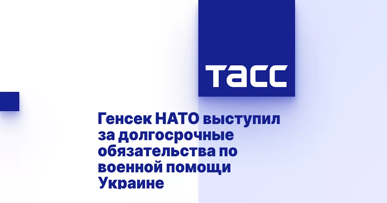 Генсек НАТО выступил за долгосрочные обязательства по военной помощи Украине