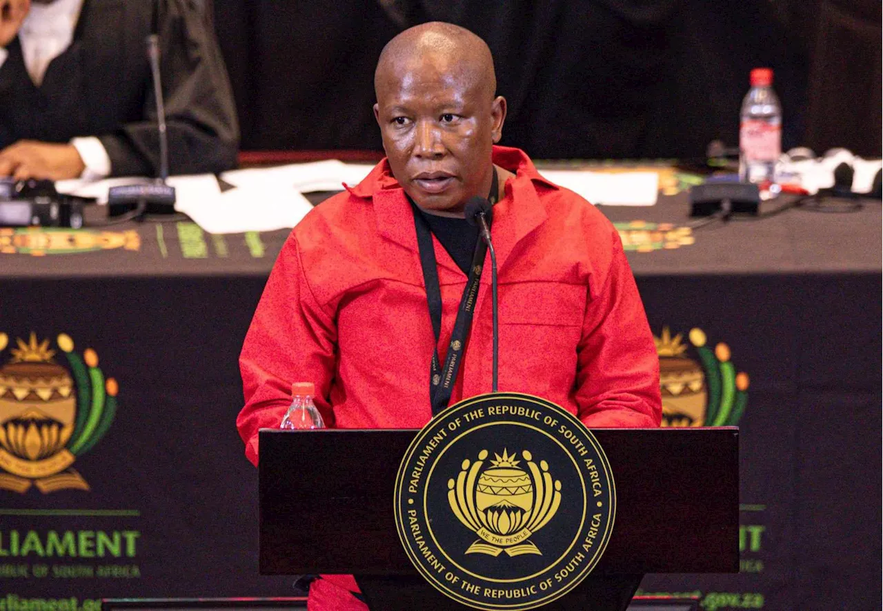 EFF suffers another court blow, set to approach Constitutional Court