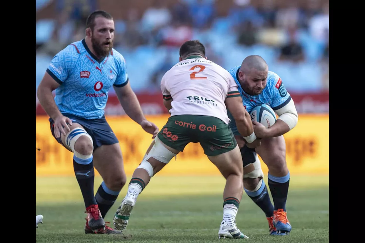 Test match feel for Bulls v Leinster clash, says Wilco Louw