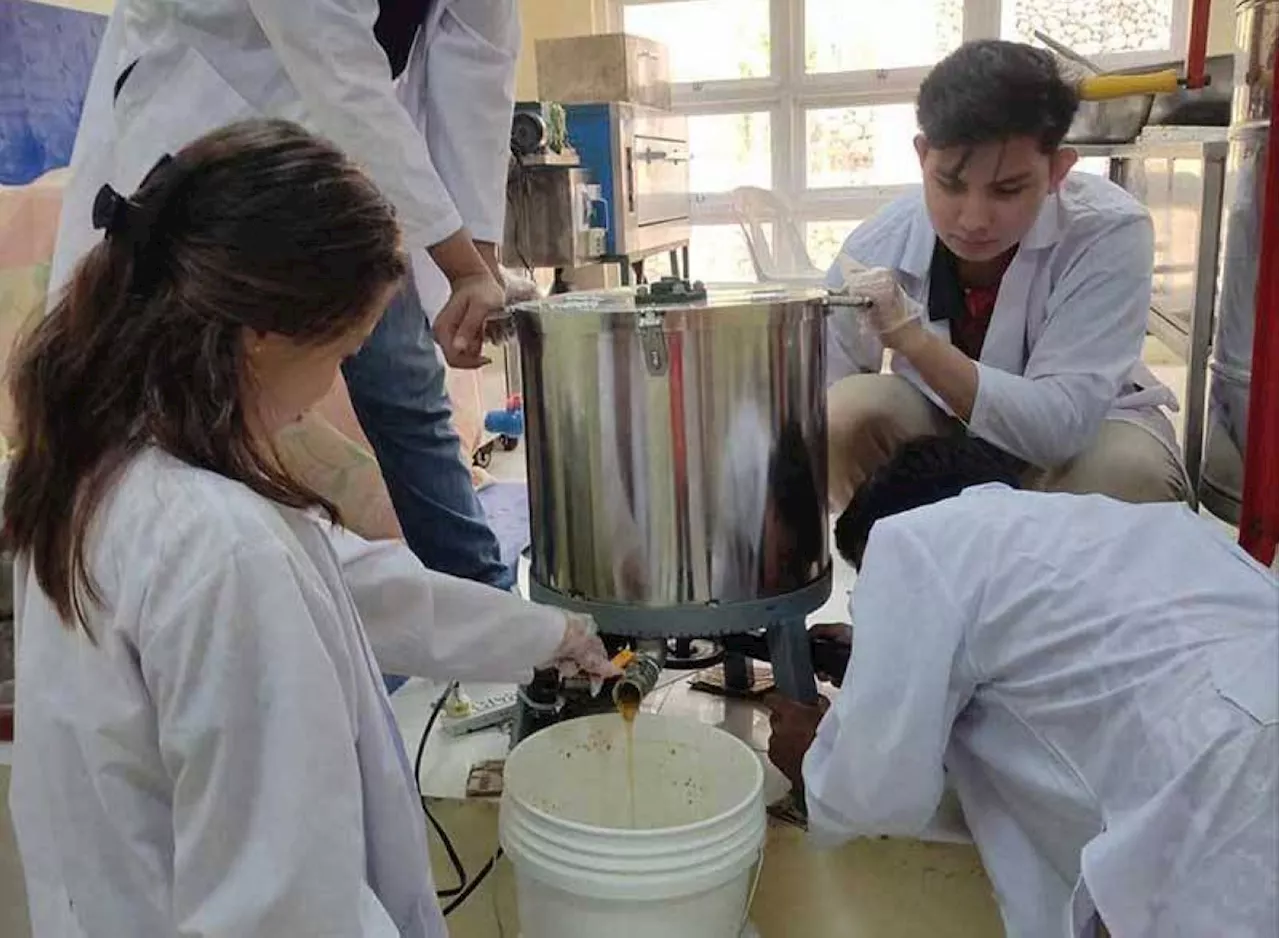 Students develop honey production machine