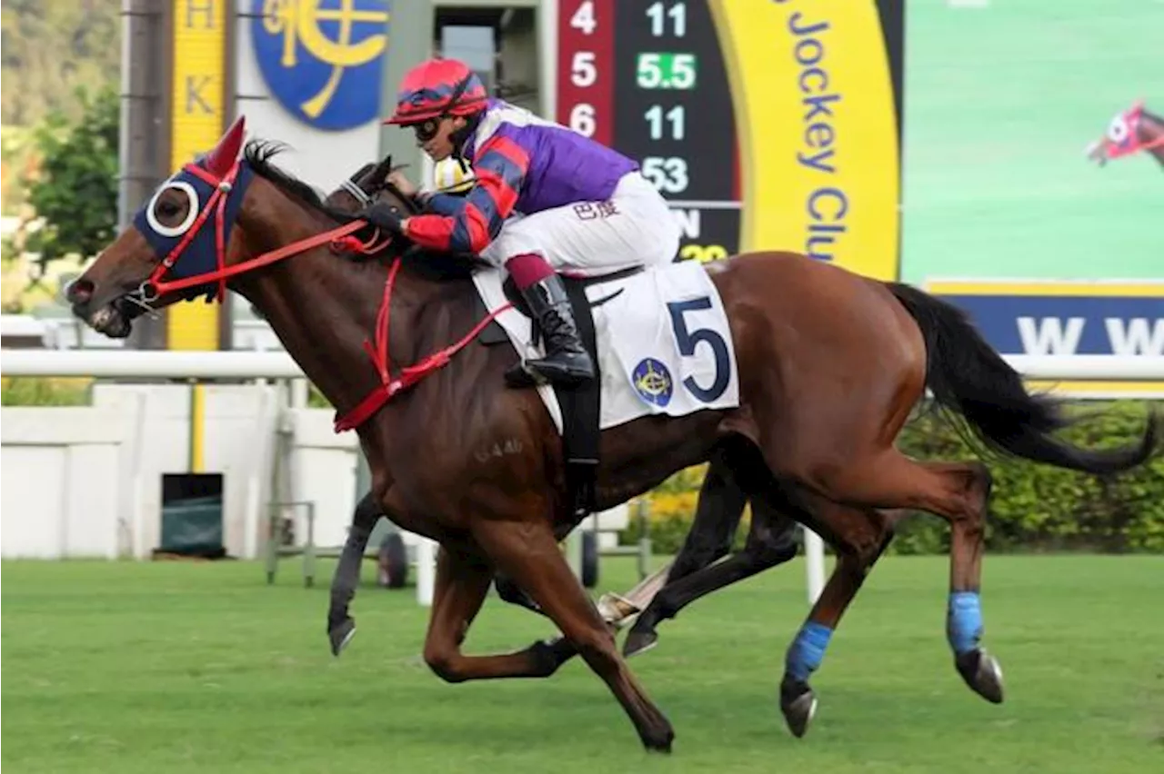 Trainer Lor has HK Cup in mind for Happy Together