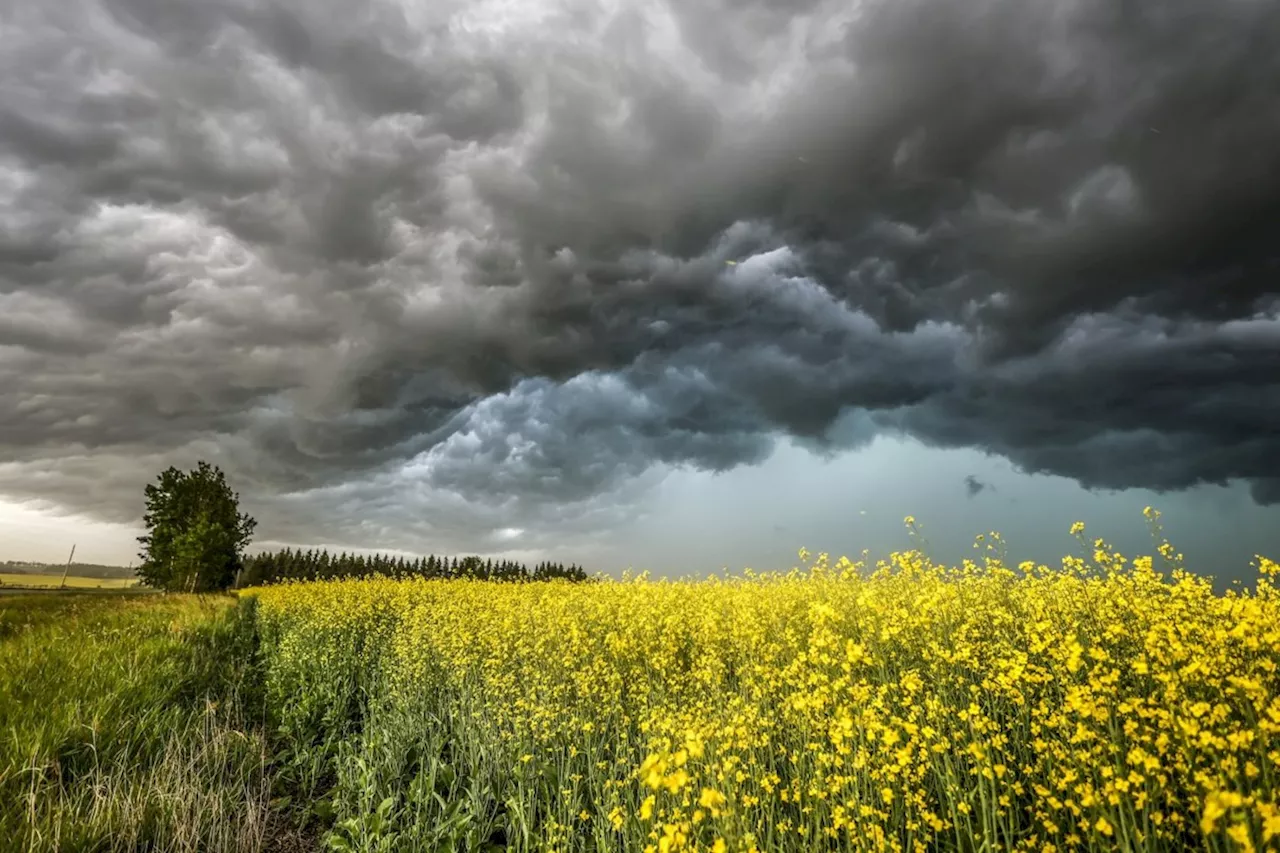 Environment Canada issues thunderstorm warnings, watches in B.C., Alberta