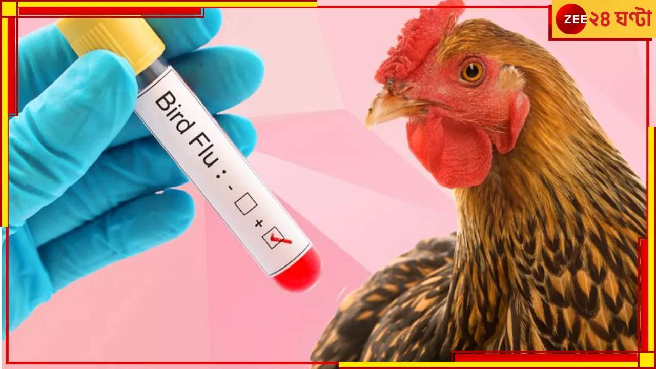 Bird Flu: আতঙ্ক বাড়িয়ে বার্ড ফ্লু দেখা মিলল বাংলায়, আক্রান্ত ৪ বছরের শিশু