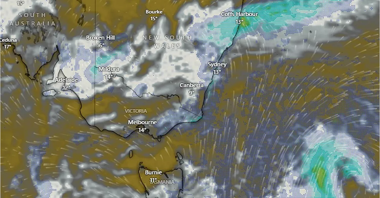 Cold snap for Australia's south-east follows capital city's coolest day in five years